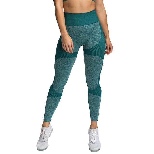 High Waist Bush Up Leggings Collection