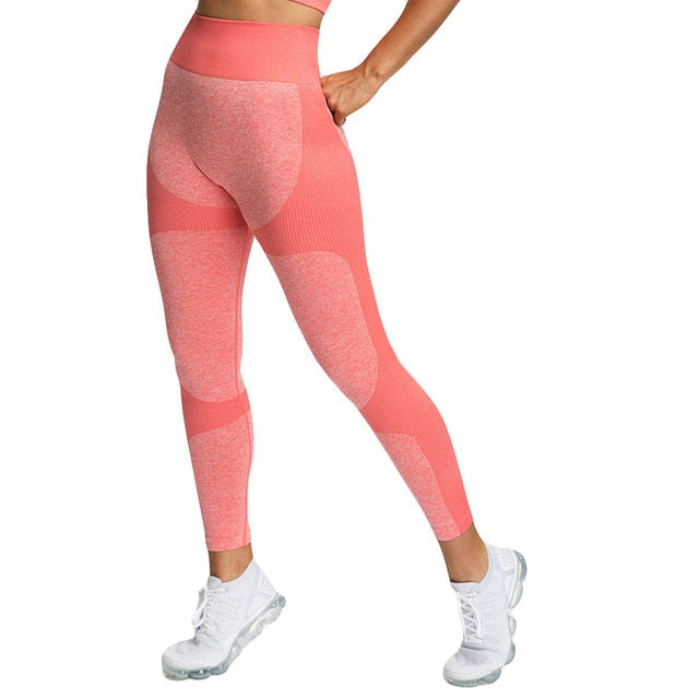 High Waist Bush Up Leggings Collection